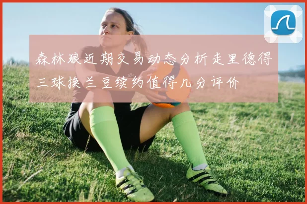 森林狼近期交易动态分析走里德得三球换兰豆续约值得几分评价